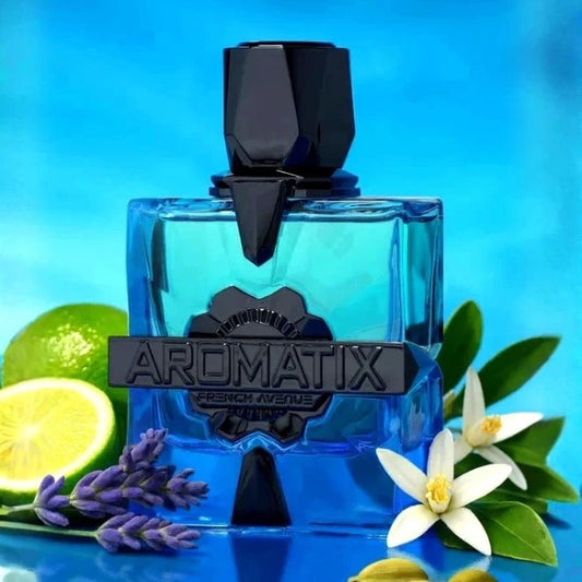 Magnetiq Perfume Extract 100ml (Aromatix) FRENCH AVENUE