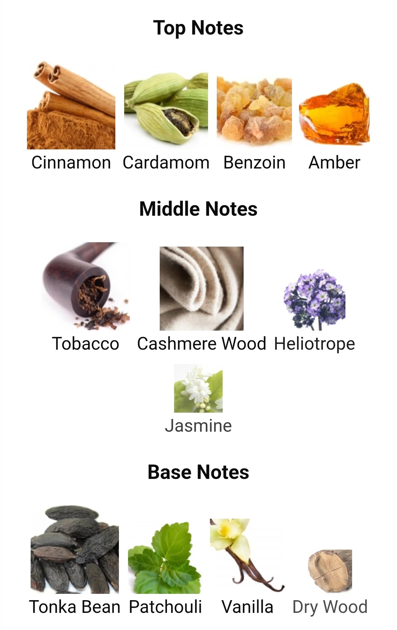 Royal Taboo Aromatix X French Avenue Fragrance 100 ml - Unisex Aromatic Scent for Everyday Wear